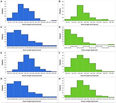 Genome-wide association for heat tolerance at seedling stage in historical spring wheat cultivars